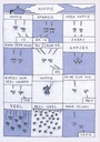 Alles Leeft 2