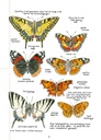 De Oase - Kleine geboorte van een biodiverse tuin 3