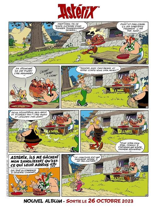 Asterix NL 40 Asterix en de witte iris 1