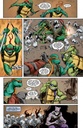 Teenage Mutant Ninja Turtles SC 4 1