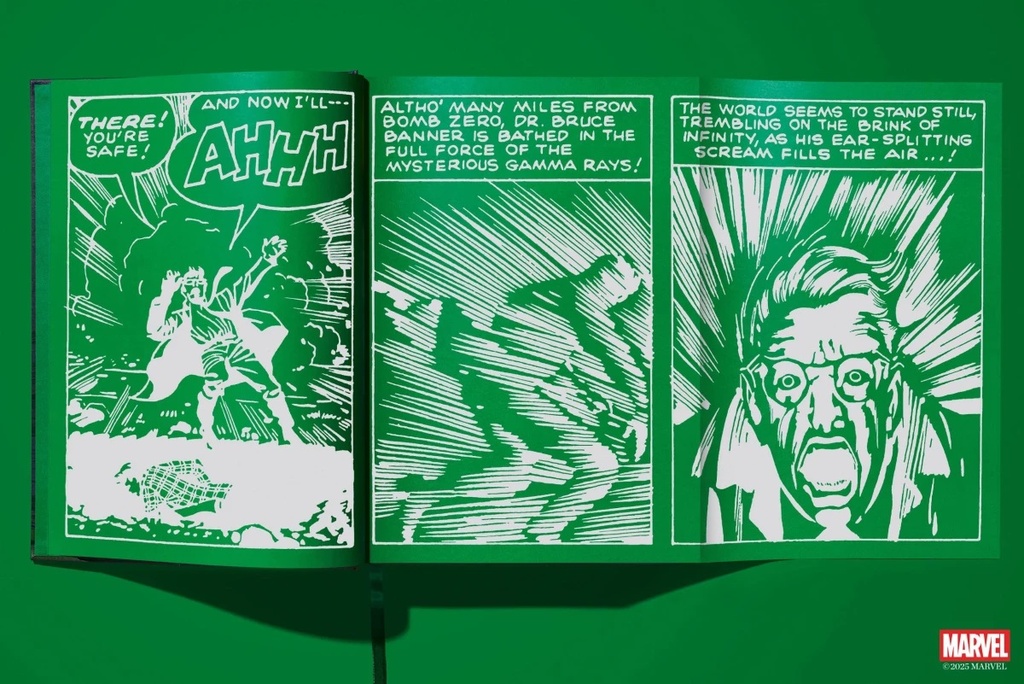 MARVEL COMICS LIBRARY - HULK 1962-1966 XXL 2