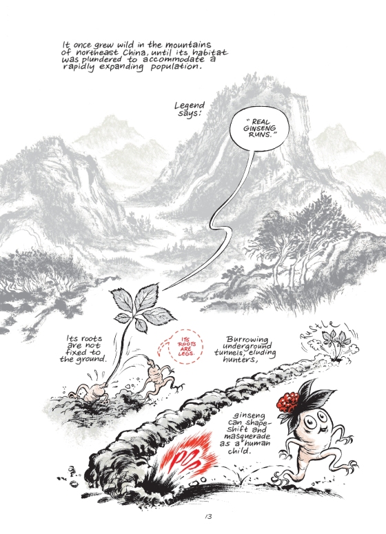 Ginseng Roots 7