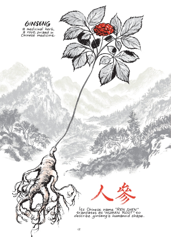 Ginseng Roots 6