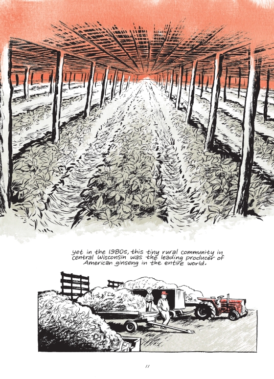 Ginseng Roots 5