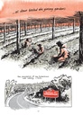 Ginseng Roots 4