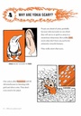 THE DEFINITIVE YOKAI FIELD GUIDE 1