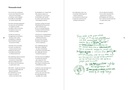 Vliegoefeningen (Graphic Poem Guido Gezelle) 4