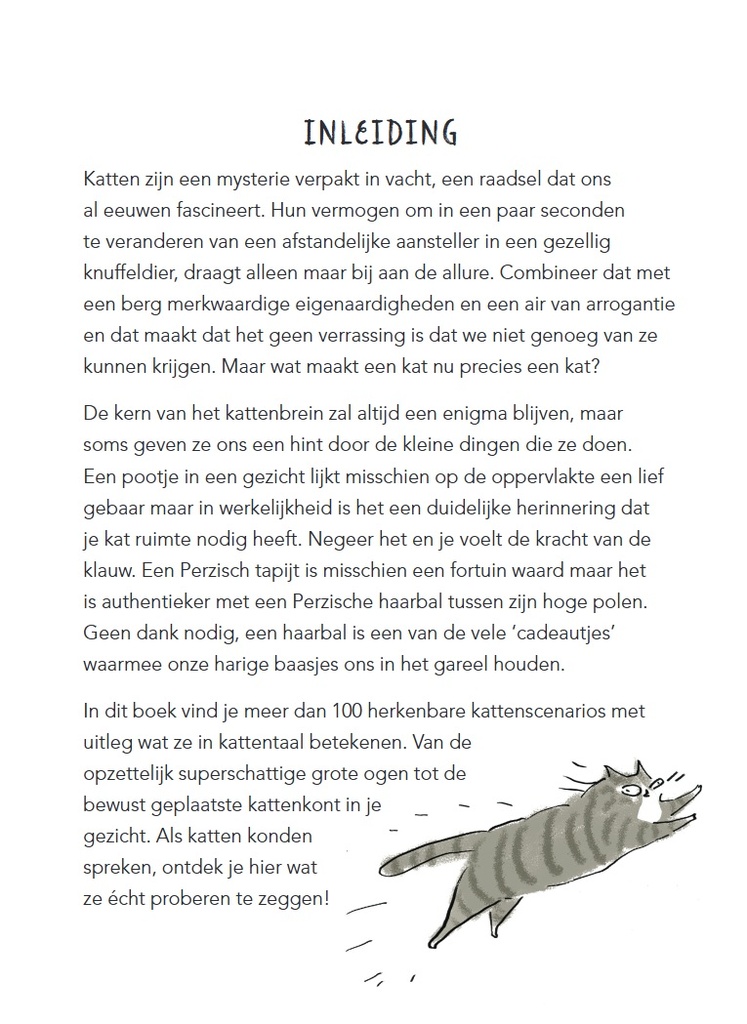 Wat je kat je echt probeert te zeggen 5