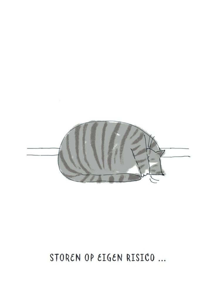 Wat je kat je echt probeert te zeggen 4