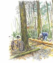 Halfweg