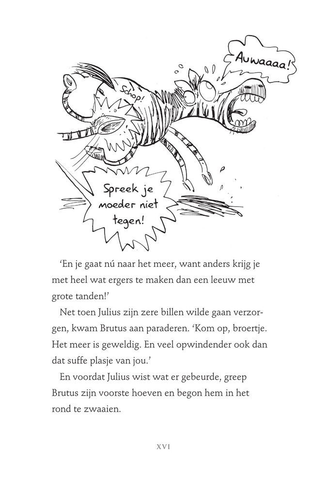 Julius Zebra SC 1 Rollebollen met de Romeinen 11