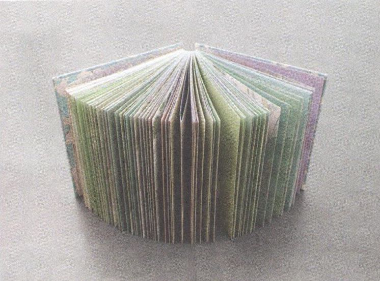 Evo - Flipboekje 1