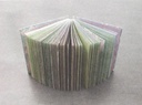 Evo - Flipboekje 1