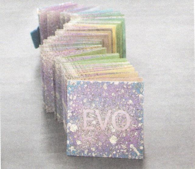 Evo - Flipboekje 2
