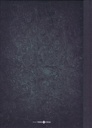 De Rode Ridder 255 De Heks en Merlijn 999