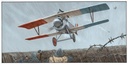 Edelweiss HC 1 Valentine 2