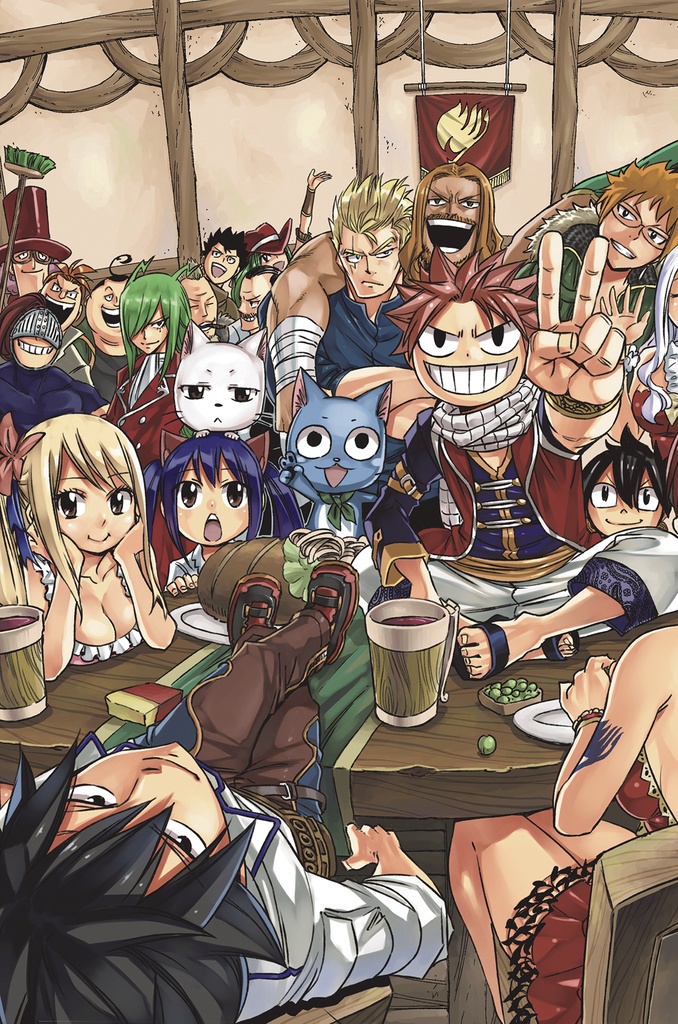 FAIRY TAIL BOX SET 05
