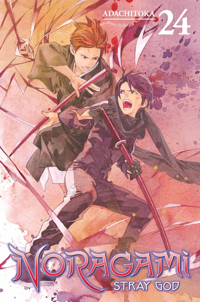 NORAGAMI STRAY GOD 24