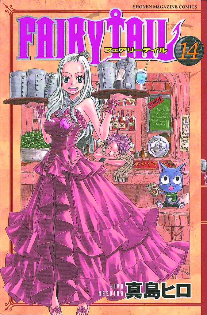 FAIRY TAIL 14