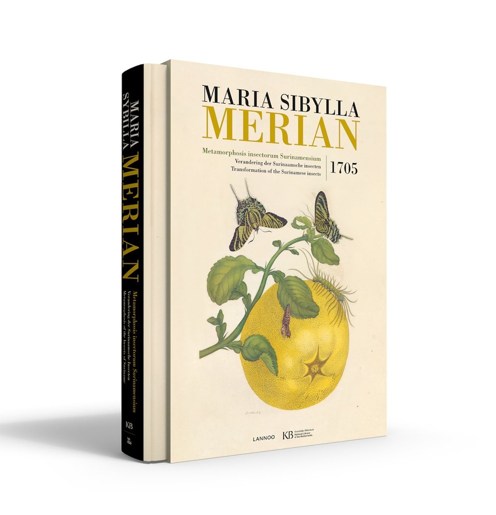 Maria Sibylla Merian-Metamorphosis insectorum Surinamensium