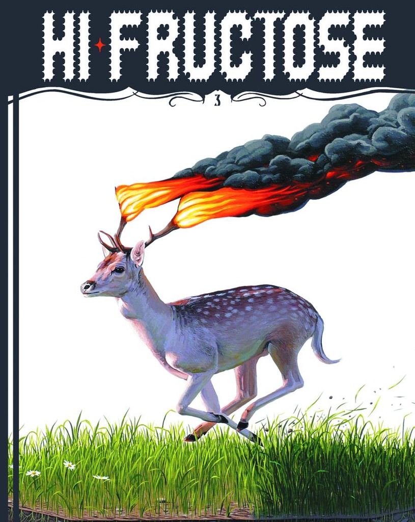 HI FRUCTOSE COLL ED HC 03 NEW CONTEMPORARY ART