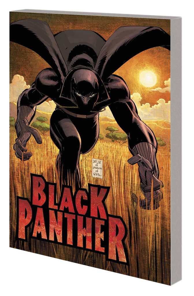 BLACK PANTHER WHO IS BLACK PANTHER