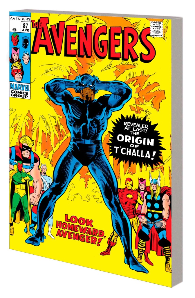 MIGHTY MMW BLACK PANTHER 02 LOOK HOMEWARD DM VAR