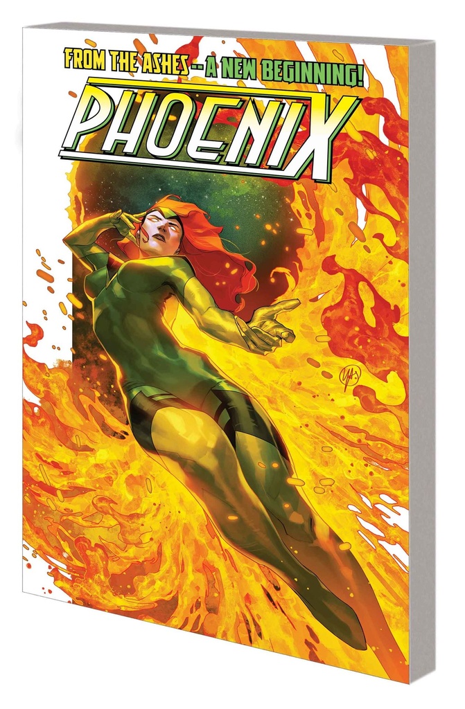 PHOENIX 1 ORBITAL RESONANCE