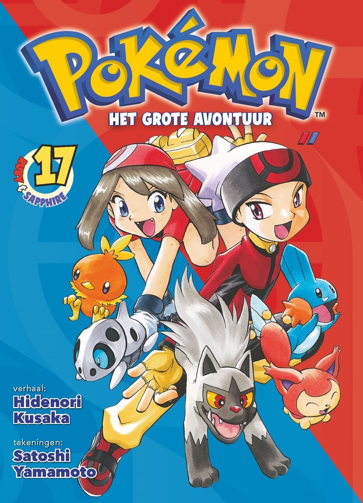 Pokemon - Het grote Avontuur 17