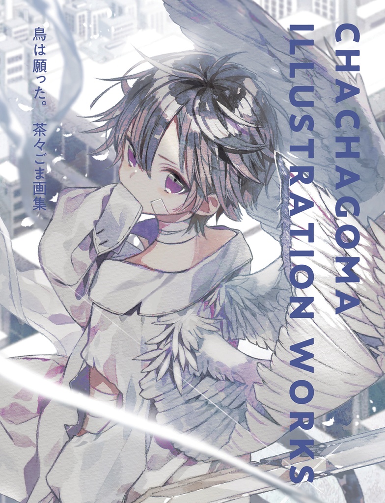 CHACHAGOMA ILLUSTRATION WORKS HC