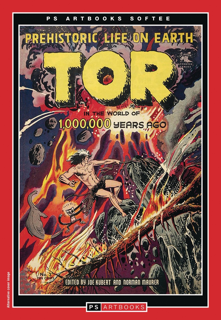 PS ARTBOOK TOR SOFTEE 01