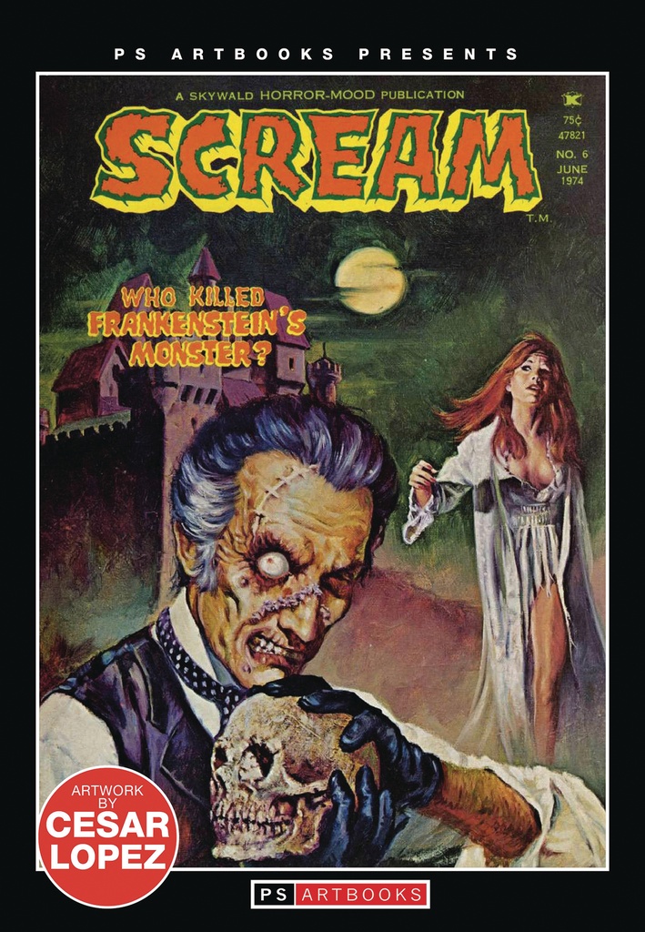 PS ARTBOOK SCREAM MAGAZINE 6