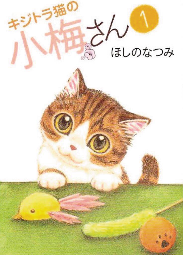 PLUM CRAZY TALES OF TIGER STRIPED CAT 01