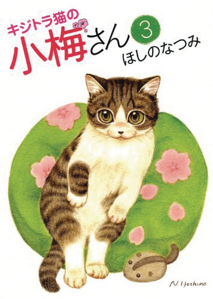 PLUM CRAZY TALES OF TIGER STRIPED CAT 03