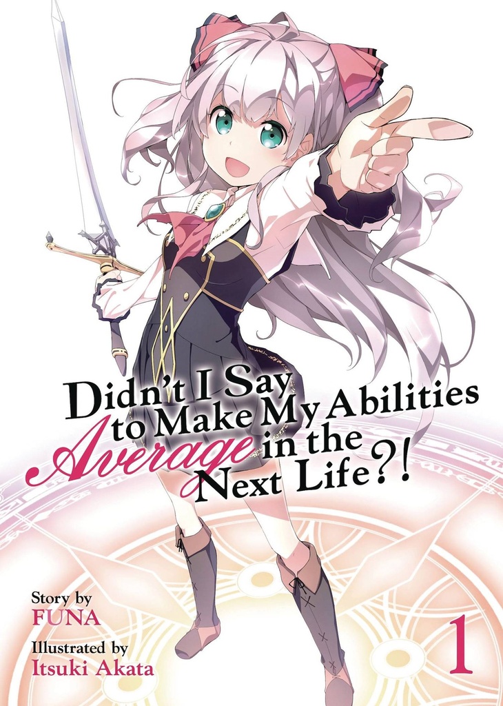 DIDNT I SAY MAKE ABILITIES AVERAGE NOVEL 01