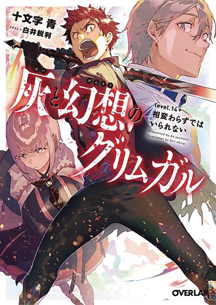 GRIMGAR OF FANTASY & ASH LIGHT NOVEL 14.5