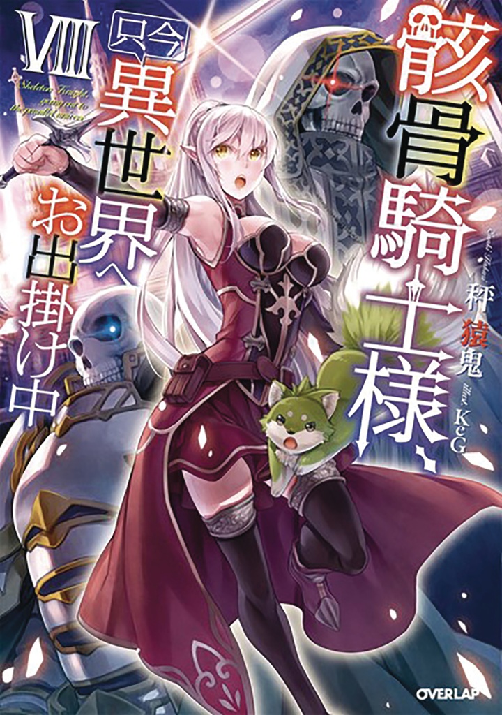 SKELETON KNIGHT IN ANOTHER WORLD LIGHT NOVEL 08