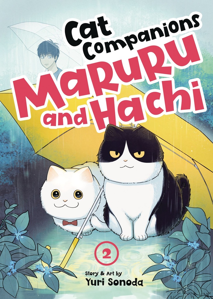 CAT COMPANIONS MARURU AND HACHI 2