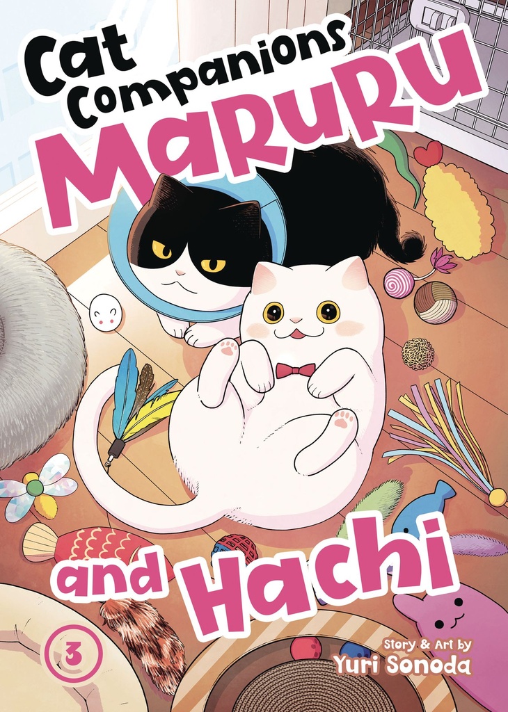 CAT COMPANIONS MARURU AND HACHI 3