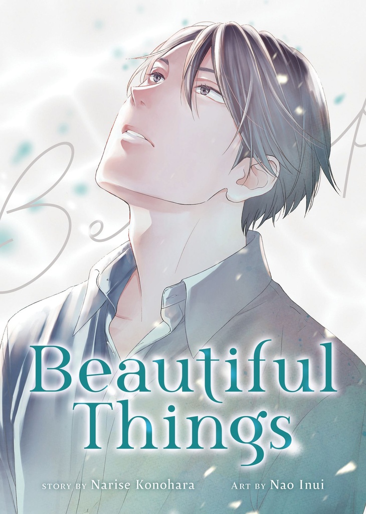 BEAUTIFUL THINGS COMPLETE MANGA COLLECTION