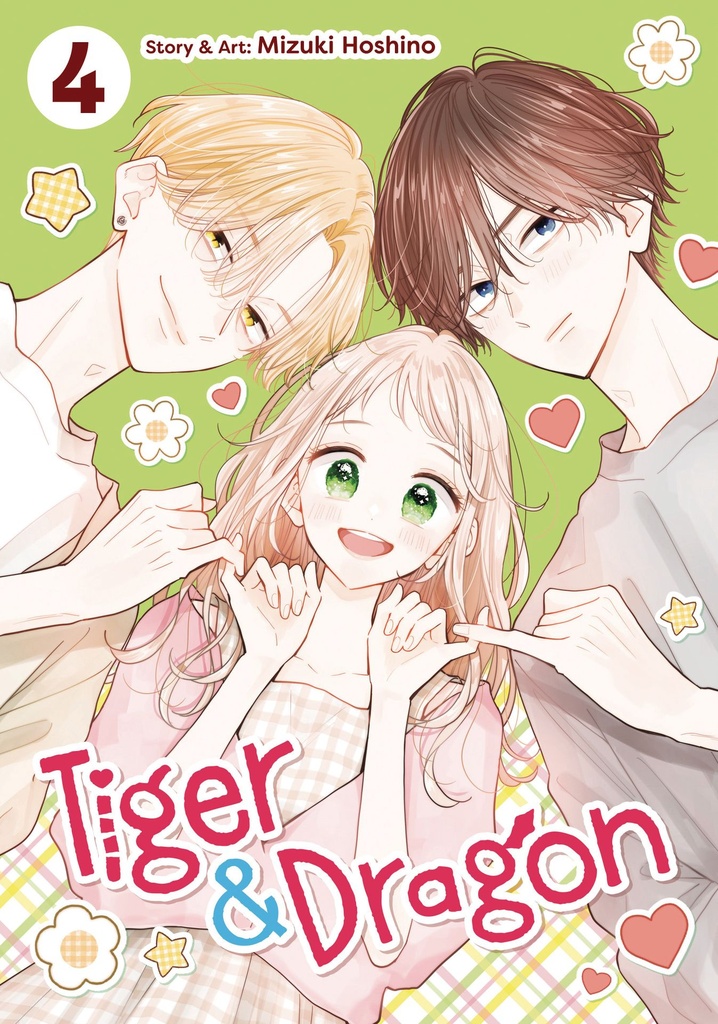 TIGER AND DRAGON VOL 4