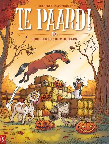 Te paard 10 SC