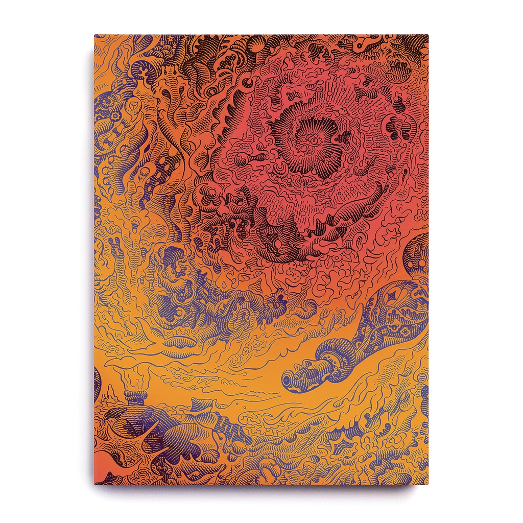 ILLUMINATED ED 08 A VOYAGE TO ARCTURUS (Jim Woodring)