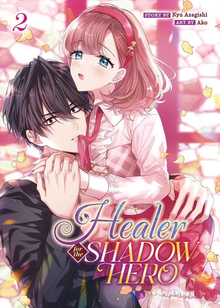 HEALER FOR THE SHADOW HERO 2