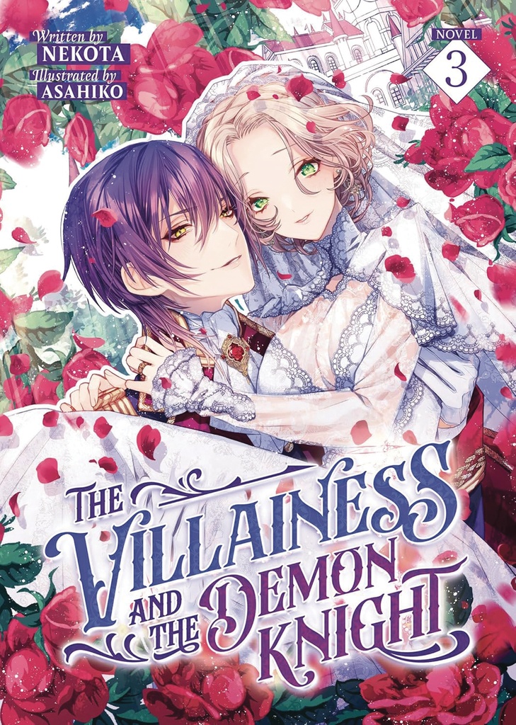 VILLAINESS AND DEMON KNIGHT (LIGHT NOVEL) 3