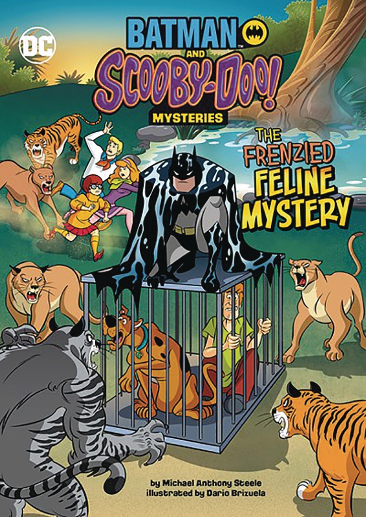 BATMAN SCOOBY DOO MYSTERIES FRENZIED FELINE MYSTERY