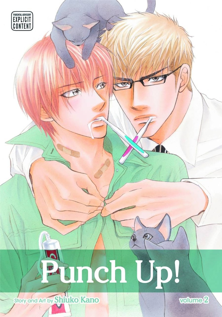 PUNCH UP 02