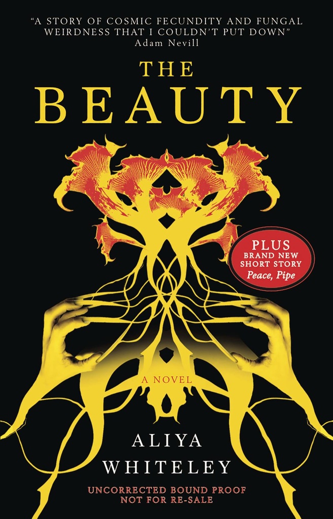 THE BEAUTY MMPB