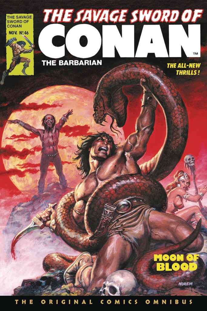 SAVAGE SWORD OF CONAN ORIG OMNIBUS REG 04