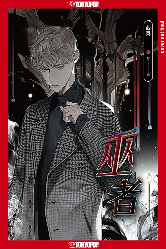 WIZARD (LIGHT NOVEL)